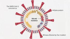 돌연변이 유럽형 코로나, 치료제·백신 효과 달라지나?
