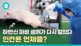 [비디오머그] 다시 걷게 된 생쥐…임상실험은 언제쯤?