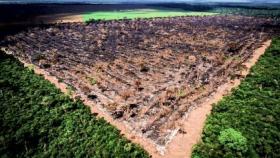 잿더미 된 아마존 열대우림…서울 5배 면적 파괴됐다