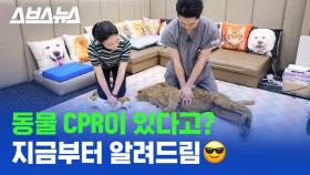 [스브스뉴스] 죽어가는 고양이·강아지 살리는 심폐소생술(CPR) 영상