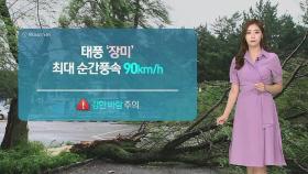 [날씨] 태풍 '장미', 오후 영남 관통…남부 · 제주 물폭탄