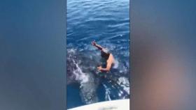 '멸종 위기' 고래상어 올라탄 남성…논란의 영상