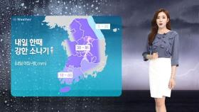 [날씨] 곳곳 강한 소나기…전국 30도 안팎 '무더위'
