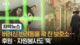 버려진 반려동물 꽉 찬 보호소…후원 · 자원봉사도 '뚝'