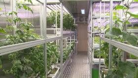 남극서 열매채소를?…LED로 태양광 대체 '식물 공장'