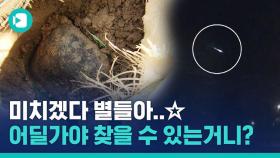 [비디오머그] 별똥별이 떨어지면 이들이 나타난다… 6년 전 대한민국에 '운석 사냥꾼' 몰려든 사연