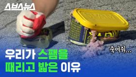 [스브스뉴스] 스팸 뚜껑 '충격 완화용'이라길래 직접 때리고 밟고 다 해봤다