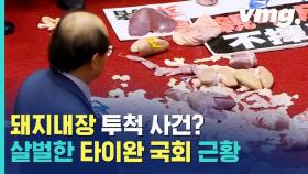 [비디오머그] 타이완 의회에 '돼지내장'이 던져진 이유는?! 역대급 비린내에 몸싸움까지…