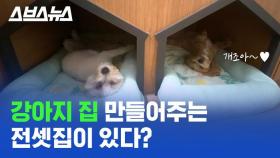 [스브스뉴스] 강아지 고양이를 위한 전셋집, 신혼부부를 위한 아파트? 내 삶에 맞춘 공동주택을 아시나요