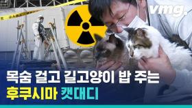 [비디오머그] 방사능 뚫고 길고양이 밥 주는 '후쿠시마 캣대디'…
