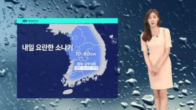 [날씨] 전국 요란한 소나기…서울 · 대구 낮 최고 27도
