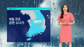 [날씨] 수도권 제외, 전국 강한 비…서울 낮 최고 34도