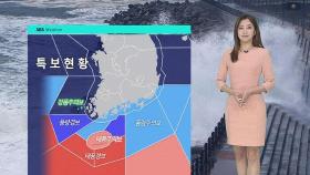 [날씨] 제주 '태풍주의보'…최대 400mm↑ '비바람' 주의