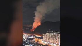 부산 북구 아파트 근처 야산서 불…4시간 만에 진화