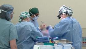 '유전자 조작' 돼지 신장 체내에 첫 이식, 미국에서 성공