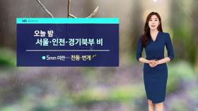 [날씨] 밤 사이 수도권 곳곳 비…낮엔 다소 더워요