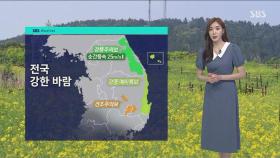 [날씨] 전국 강한 바람…경기 북부 · 강원 영서 요란한 비