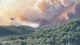 울진 산불 23시간 만에 진화…축구장 203개 사라졌다