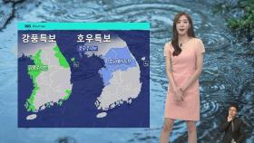 [날씨] 수도권 · 강원 영서 강한 폭우…최대 300mm↑