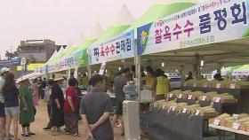 원주쌀 토토미 · 찰옥수수축제…8일부터 4일간 개최