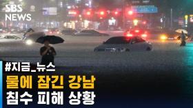 [제보영상] 강남 일대 폭우 상황 제보 영상 모음