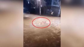 [실시간 e뉴스] 신림동 펠프스, 서초 제네시스…폭우 속 시민들