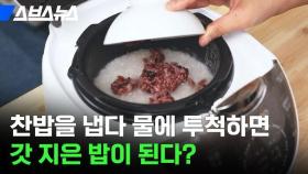 [스브스뉴스] 남은 찬밥 이제 밥솥에 다시 넣으세요! 놀라운 일이 일어납니다