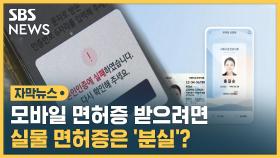 [자막뉴스] 모바일 면허증 받으려면…실물 면허증은 분실?