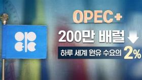 OPEC플러스 대규모 감산…주춤했던 물가 다시 '빨간불'