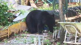 곰 탈출, 농장 부부는 사망…지난해도 탈출 소동 겪었다