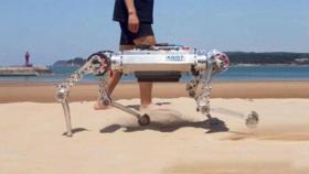 사람도 걷기 힘든 곳 달리는 로봇…국내 연구진 일냈다