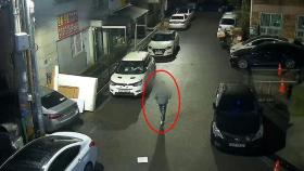첨단 CCTV가 잡아낸 차량털이범…이상행동 감지했다