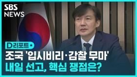 [D리포트] 조국 '입시 비리·감찰 무마' 내일 선고…쟁점은?