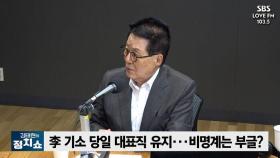 [정치쇼] 박지원 