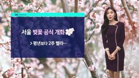 [날씨] 서울 벚꽃 '활짝'…밤 사이 전국 비 소식