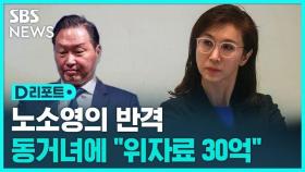 [D리포트] 노소영, 최태원 SK회장 동거인에 30억 위자료 소송