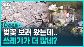 [D리포트] 벚꽃 명소에 버리고 간 '양심'