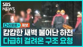 [D리포트] 갑자기 불어난 하천…캄캄한 새벽 혼자 고립된 운전자