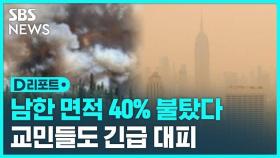 [D리포트] '최악의 산불 ' 남한면적 40% 불타…교민 긴급 대피
