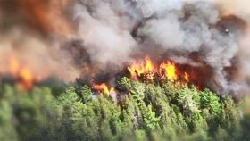 캐나다 산불에 교민 50여 명 대피…미 '건강 위험' 경보