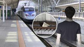 KTX 선로에 돌덩이 둔 10대…1분만 늦었어도 대형사고