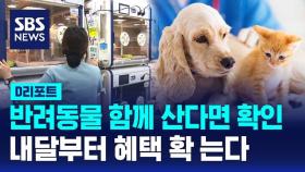 [D리포트] 10월 1일부터 반려동물 진료항목 100여개 '부가세 면제'