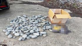 제주 해변 몽돌 훔치다 발각…중국인 모녀의 황당 진술
