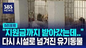 [D리포트] 유기동물 175마리 입양한 뒤 지원금 타내…경찰 조사 중