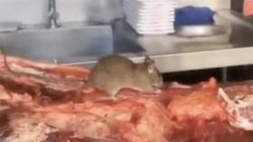 훠궈집에서 쥐가…중국서 또 식품 위생 논란 [글로벌D리포트]