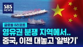 [글로벌D리포트] 중국 배 135척 떼 지어 정박…필리핀 