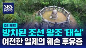 [D리포트] 방치된 조선 왕조 태실…'일제 훼손' 후유증 계속