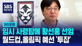 [D리포트] 축구협회, 임시 사령탑으로 황선홍 선임