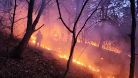 인천 야산에 산불… 산림 1,600㎡ 소실