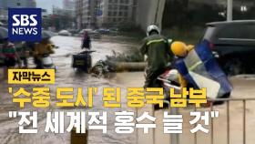 [자막뉴스] 남 일 아니다…심상치 않은 중국 폭우 / SBS